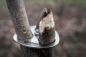 Preview: Petromax Dreibein-Ring